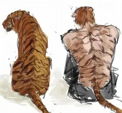 Tian Saputra | Tiger