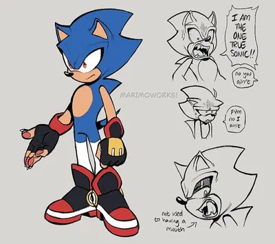 Organic! Metal Sonic