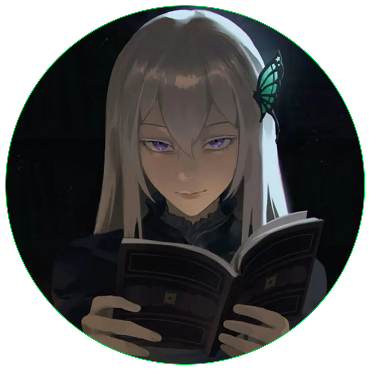 Echidna - Companion