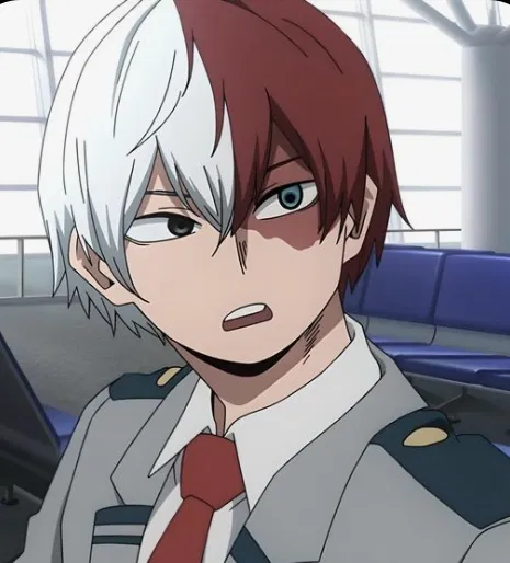 Shoto todoroki 