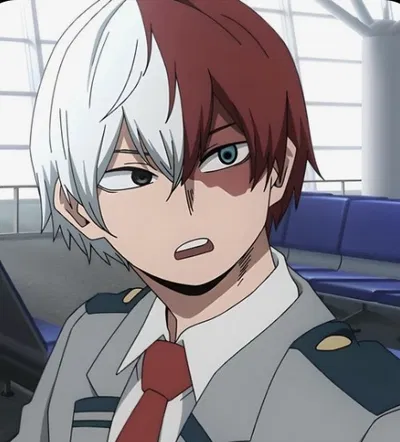 Shoto todoroki 
