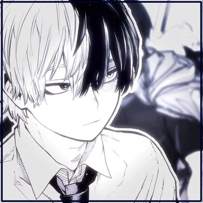Shoto Todoroki