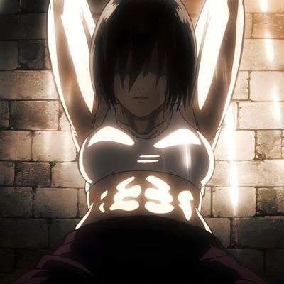 Mikasa Ackerman 