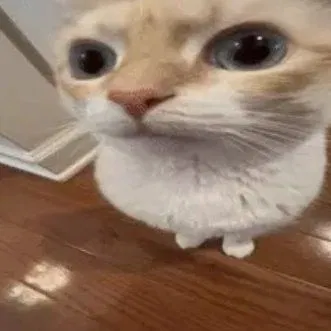 Hey everyone, I'm back