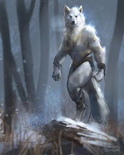 Werewolf in the woods