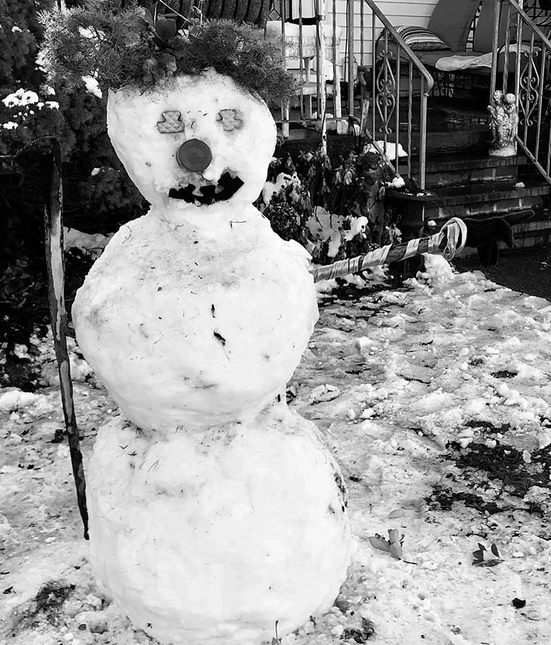 silly snow dude