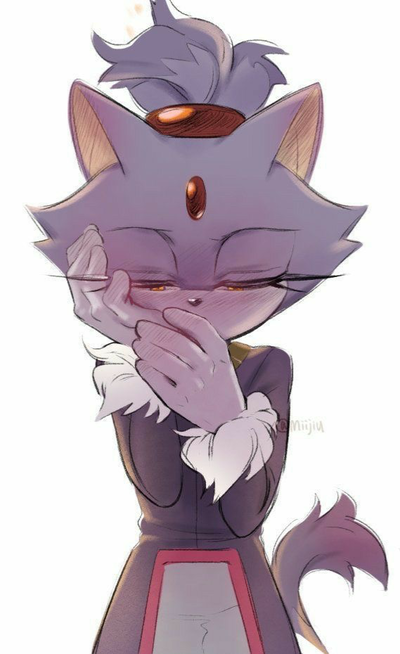 **BLAZE THE CAT**
