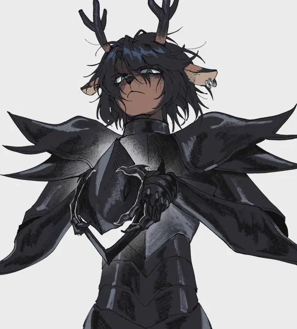 ☆ THE KNIGHT ☆