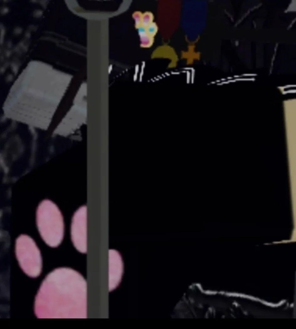 Teaser. Yes paw socks.