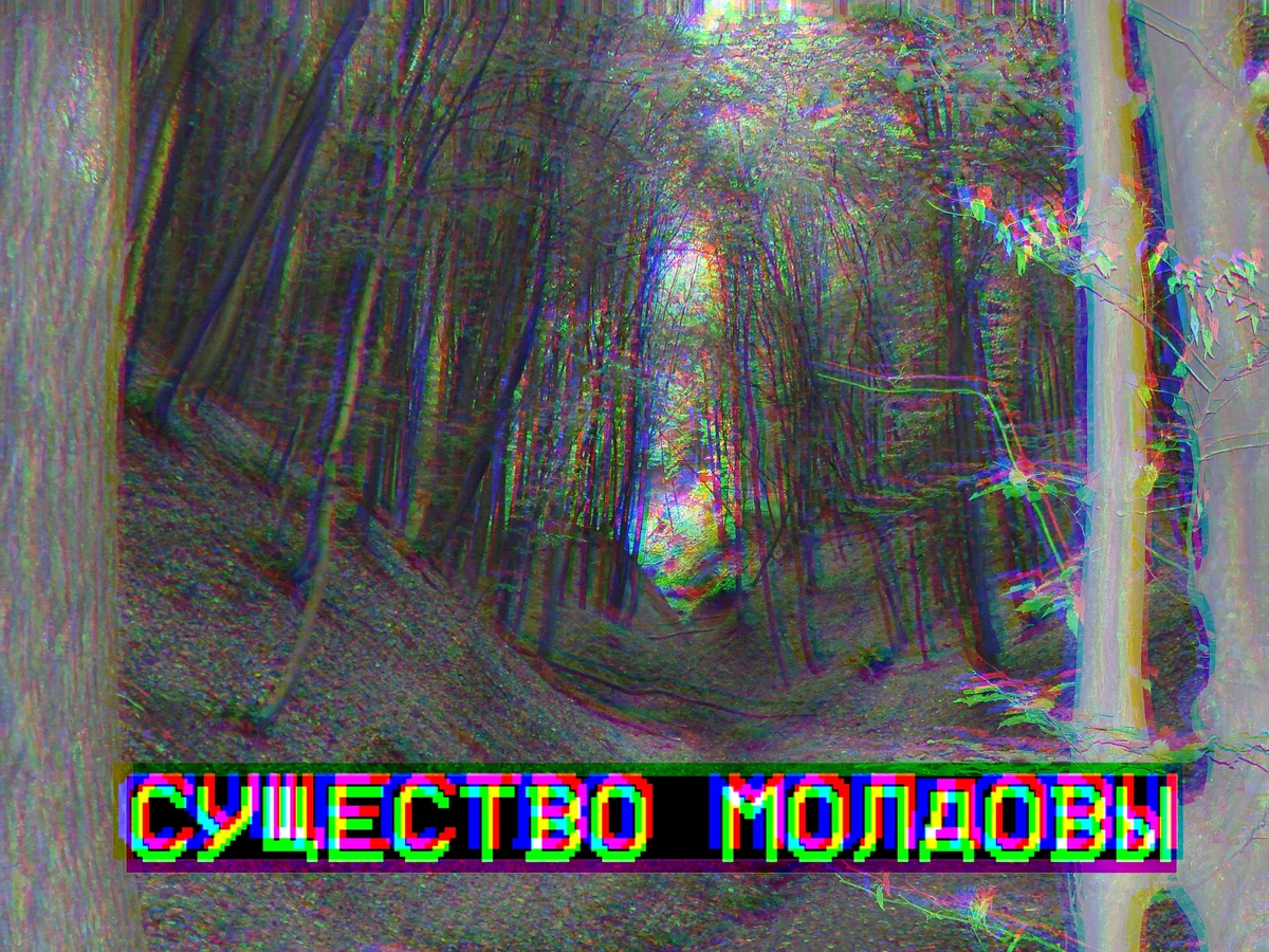 The Moldavian Skinwalker