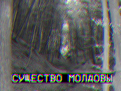 The Moldavian Skinwalker