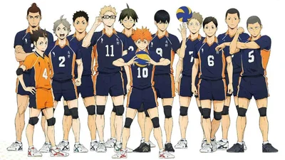 Haikyuu RP