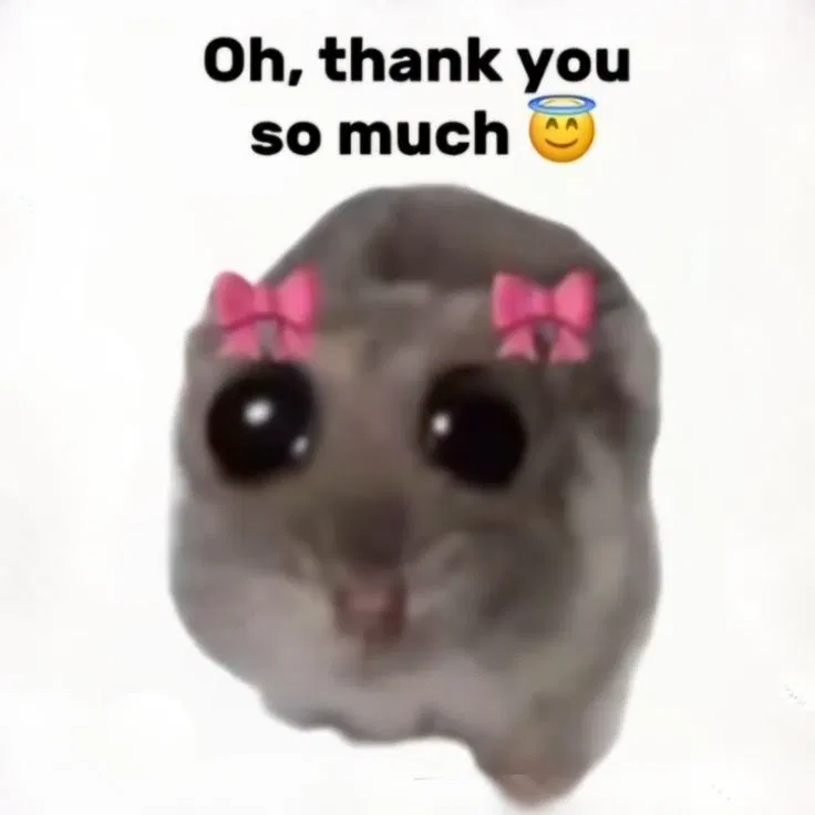 THANK YOUUUU!!! 🎀❤️