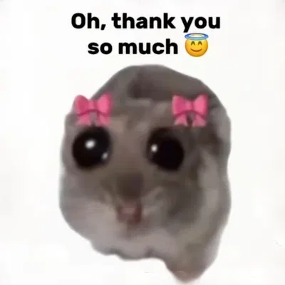 THANK YOUUUU!!! 🎀❤️
