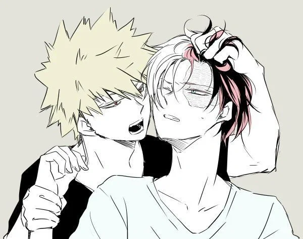 Quirk Marriage Shoto & Katsuki