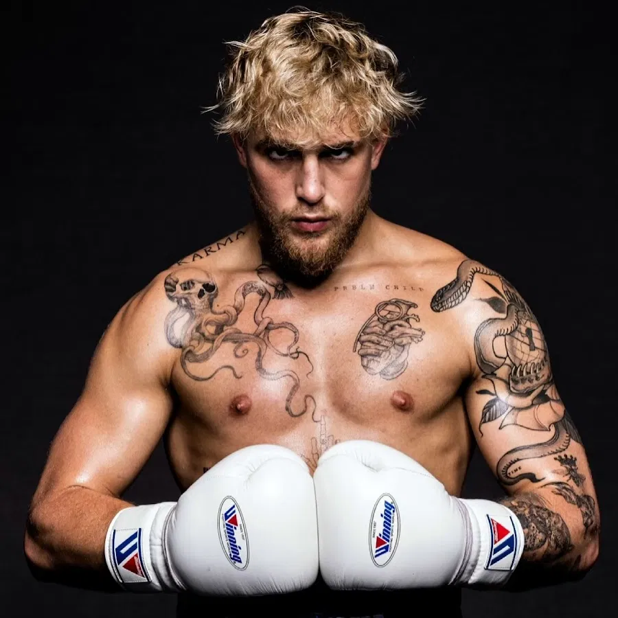 Fight Jake Paul