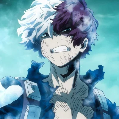 Shoto Todoroki