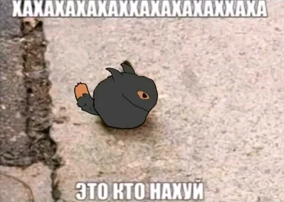I came to  
