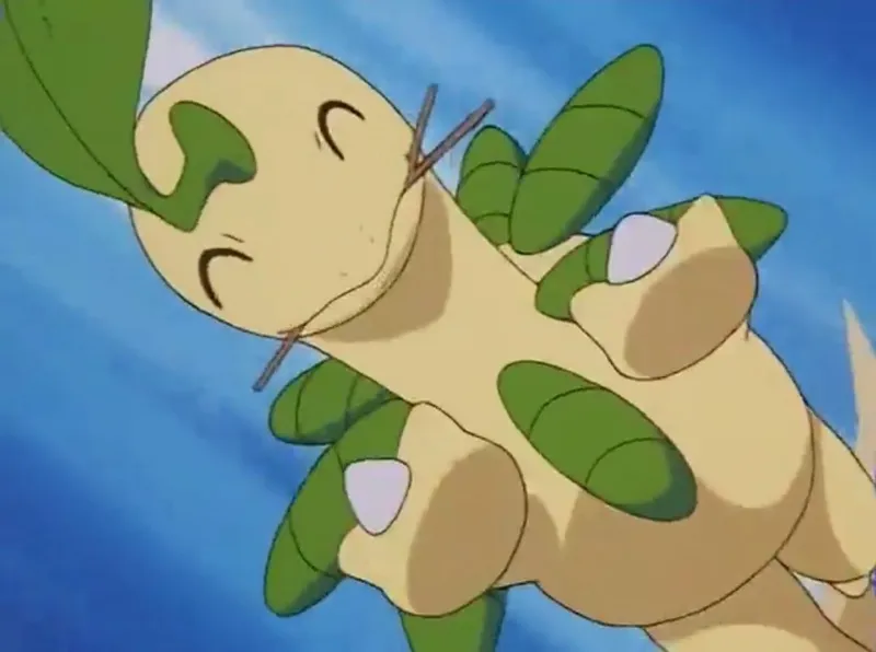 Bayleef - Your biggest fan
