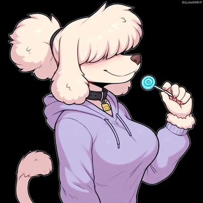 The ditzy poodle