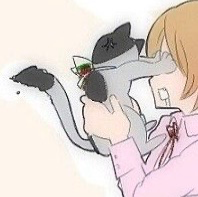 Bulgaria-cat