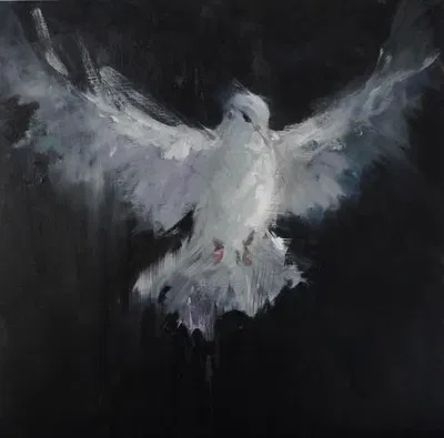 Blind dove 