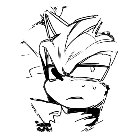 𓉸 𓈒  Shadow The Hedgehog