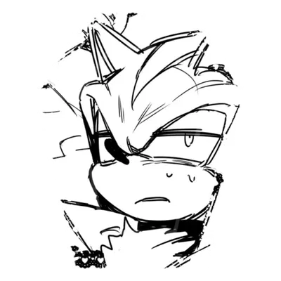 𓉸 𓈒  Shadow The Hedgehog