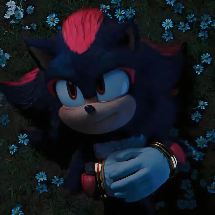 ≛Shadow The Hedgehog≛