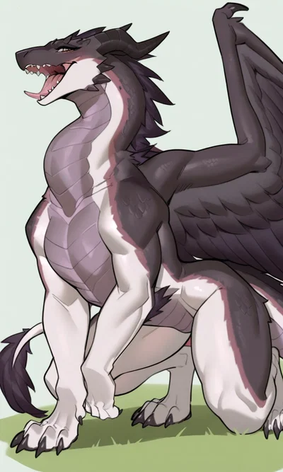 Your Dragon