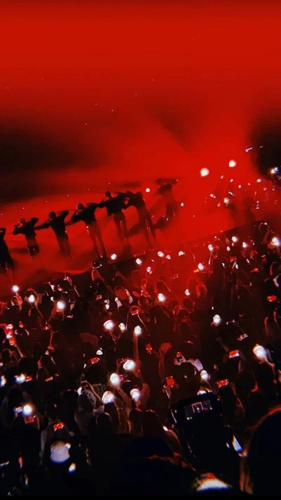 Stray kidss