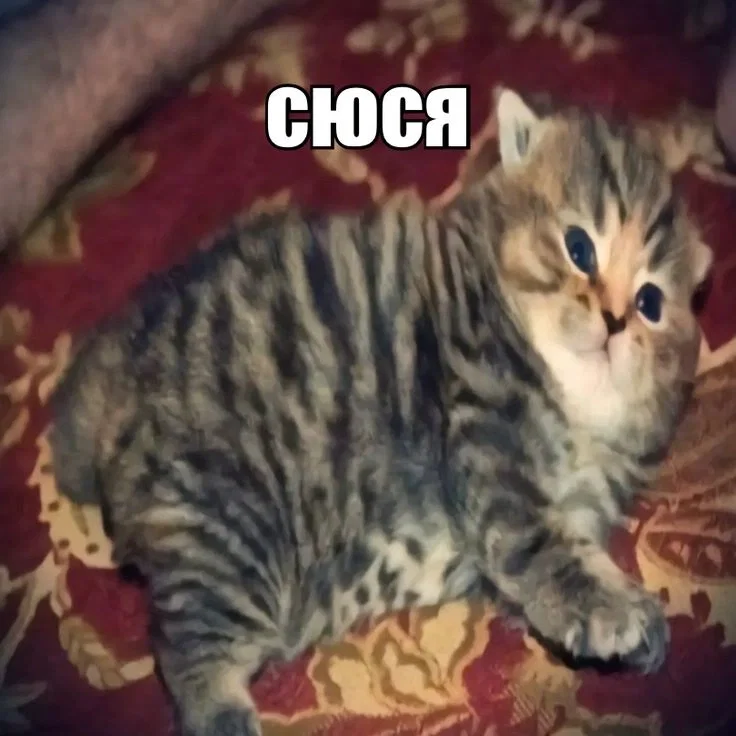 A break 