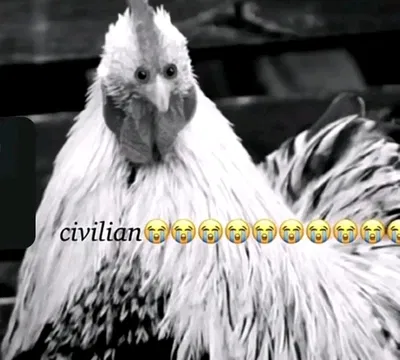 I got hyper fixated on DIVE !!
