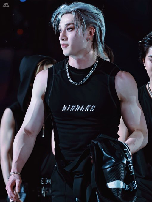 Bang Chan | Wolf Hybrid 
