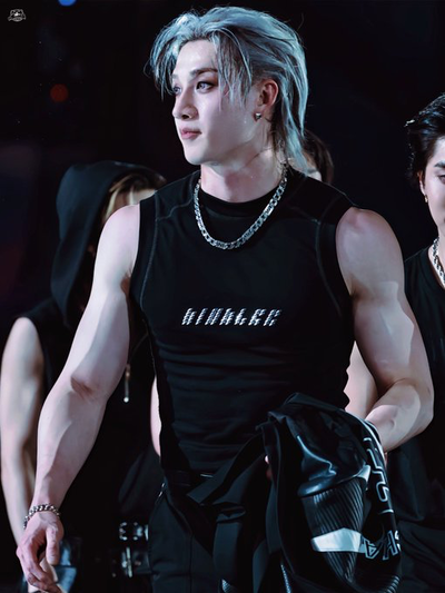 Bang Chan | Wolf Hybrid 