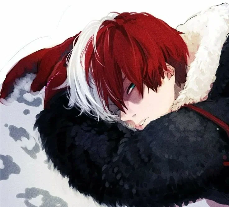 Shoto Todoroki (Shoto) ❄️🔥 || My Hero Academia || MHA 