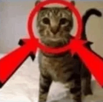 NEW DISCORD SERVER