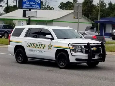 Traffic Stop