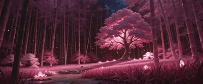 Part Five of ?: Lost In The Forest On The Mountain
