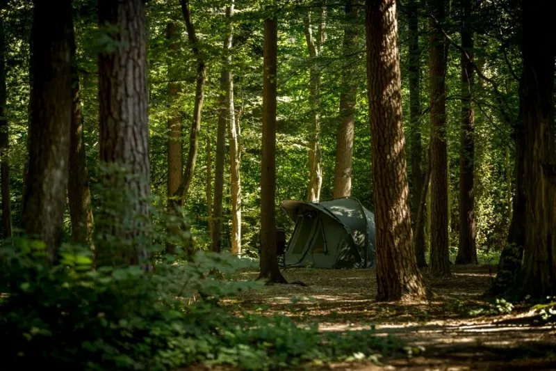 Camping in the Forest