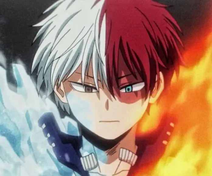 Shoto Todoroki