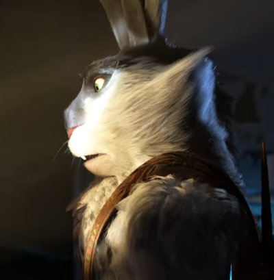 E. Aster bunnymund