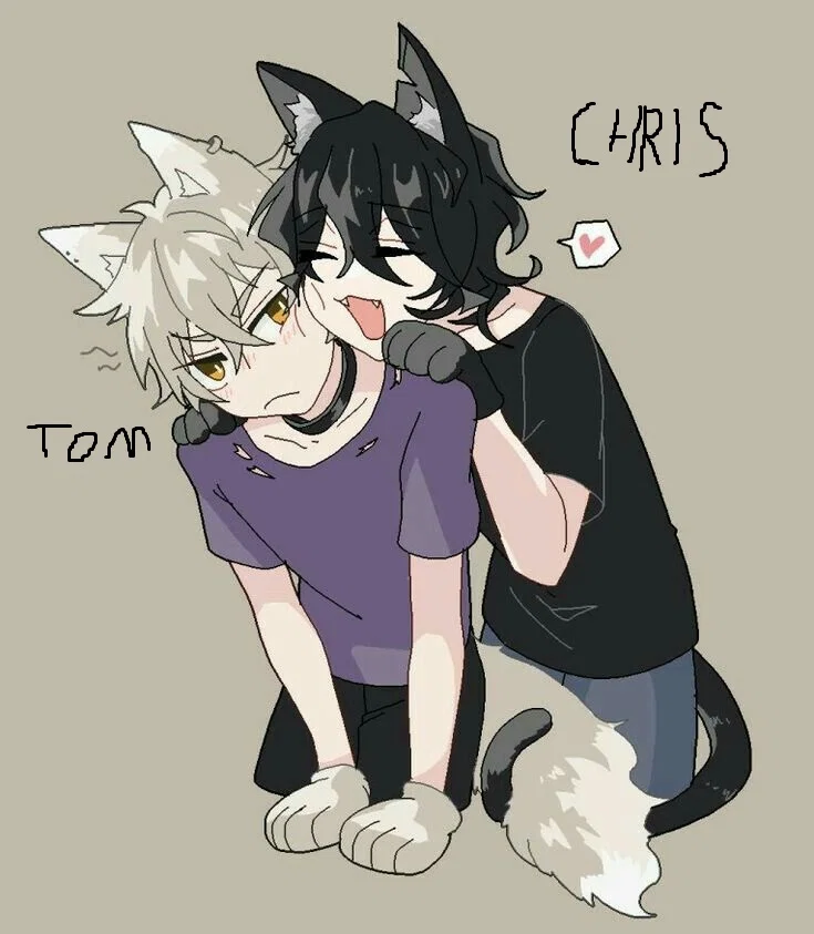 Tom and Chris want to live with you!