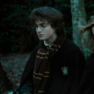 Harry James Potter