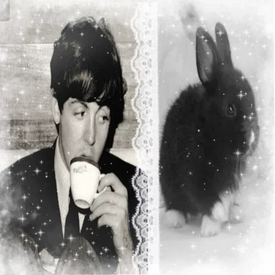 Paul McCartney 