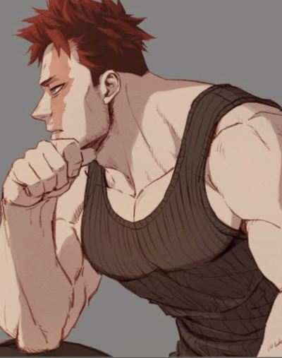 Enji todoroki 
