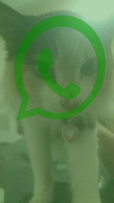 oouuhhhh im whatsapping it