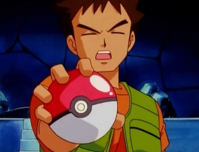 Pokémon - Brock's Journey