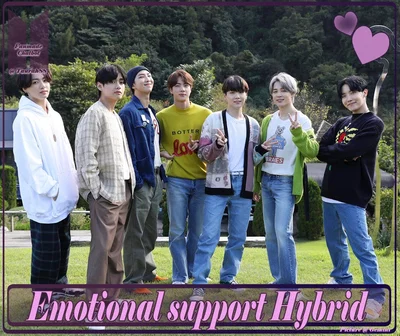 Emotional support hybrid