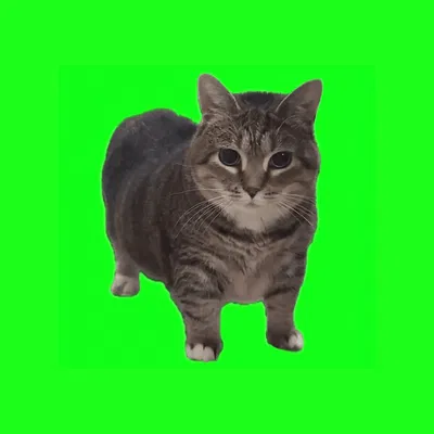 Information about current bot progress !